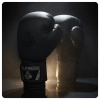 Rękawice bokserskie 10oz - Black Master -  Valor Series | DBX Bushido
