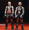 Rękawice bokserskie 10oz - Blaze Red - Legacy Series | DBX Bushido