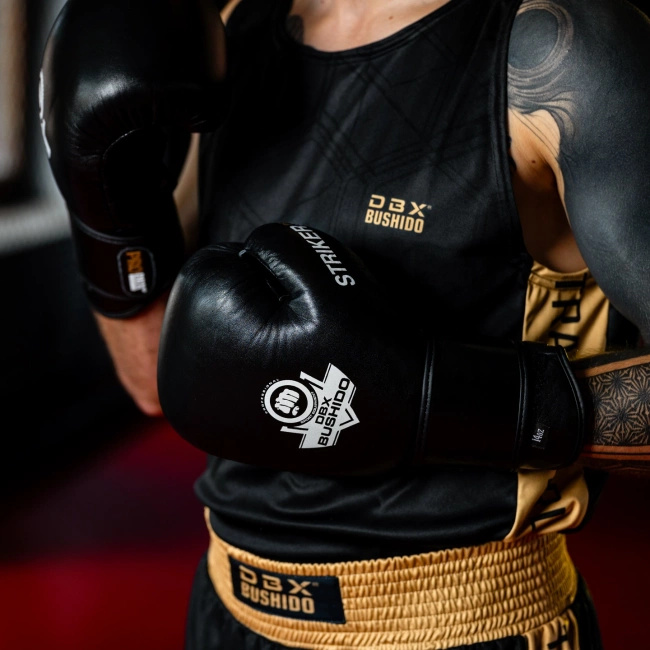 Rękawice bokserskie 12oz - Striker - Legacy Series | DBX Bushido
