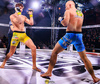 Rękawice MMA sparingowe S/M - Undefeated - Valor Series