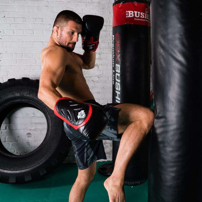 Rękawice bokserskie 10oz - Blaze Red - Legacy Series | DBX Bushido