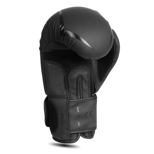 Rękawice bokserskie 16oz - Raptor - seria Origin