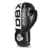 Rękawice bokserskie 12oz - Harmony - Valor Series | DBX Bushido