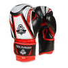 RĘKAWICE BOKSERSKIE DLA DZIECI BUSHIDO 6oz ARB-407v2